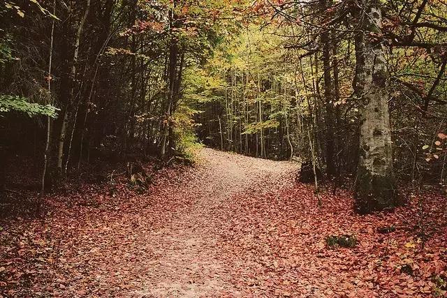 浜氭床寤変环鑸┖瀹樼綉,鎮﹁娉板浗鏃呰