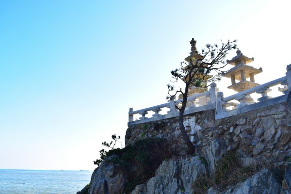 日韩邮轮游自由行,日韩航线邮轮旅游