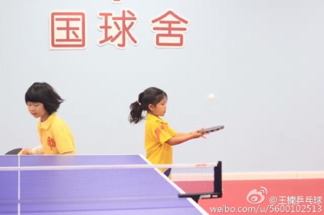 王楠巨富老公接受女儿采访,王楠老公身价10亿