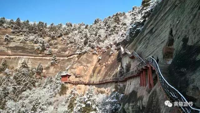 一场雪黄陵就美成了人间仙境
