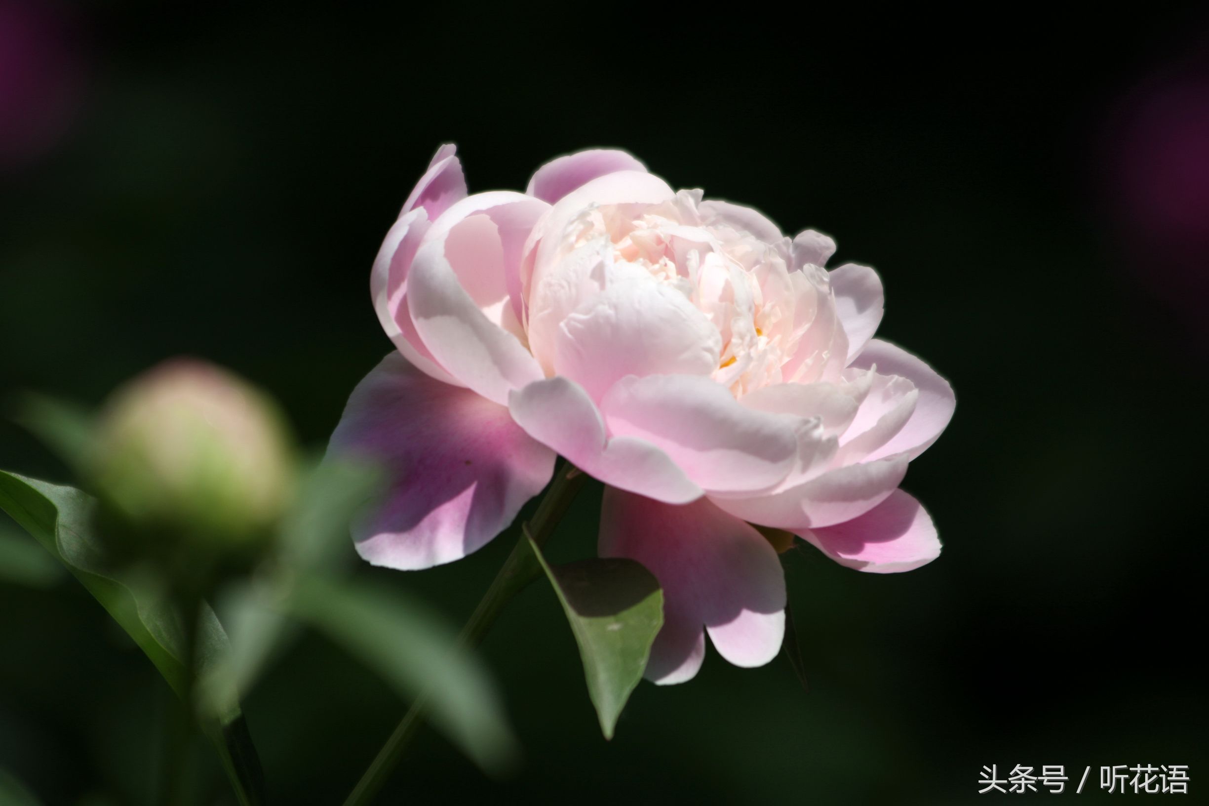 不知道给宝宝取什么名字好,不知道给小孩子取什么名字怎么取