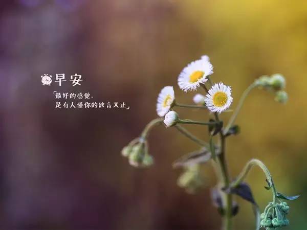 早安朋友圈的励志句子图片,早安语录朋友圈励志短句图片