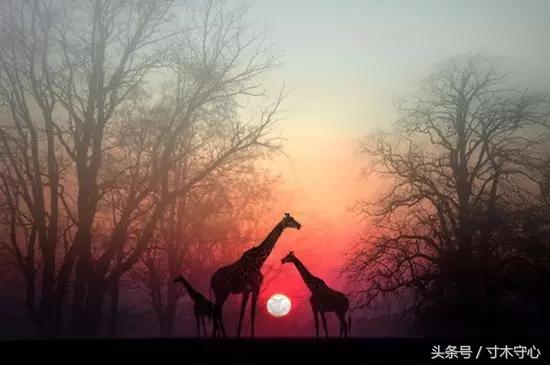 十年创业心路历程换来今天的辉煌,雄关漫道真如铁的文章