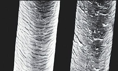 推荐几款无硅油洗发水,无硅洗发水哪款好用