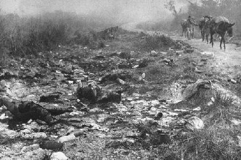 为什么战争的士兵不害怕死亡,战争时期的士兵精神状态