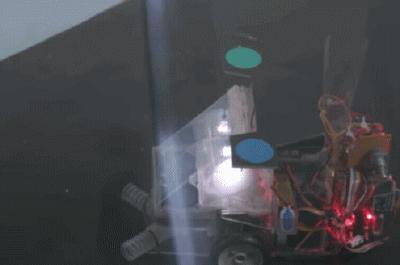 天蛾飞行能力,天蛾产卵之后可以飞吗