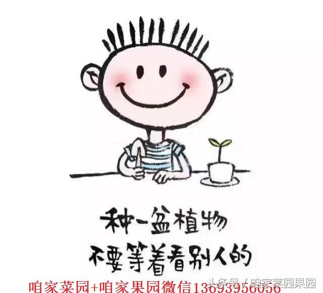 全国各地特产测评之河北篇,中国特产农产品大全