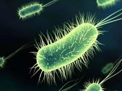 60岁女人有妇科炎症的表现,妇科炎症科普知识