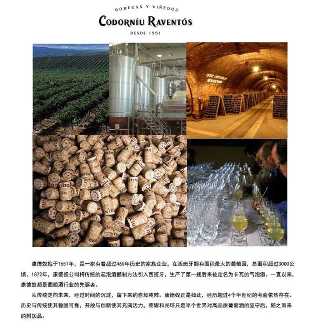 胖厨带你认识西班牙的“香槟”---CAVA