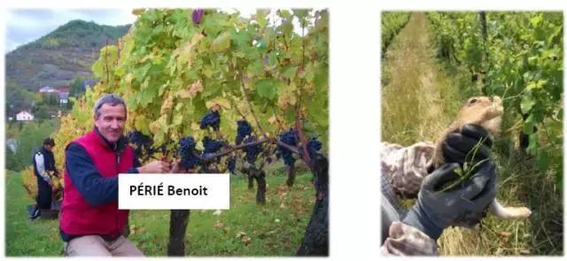 如何避免同质化竞争？看完这十个海外商业项目，或许能找到答案