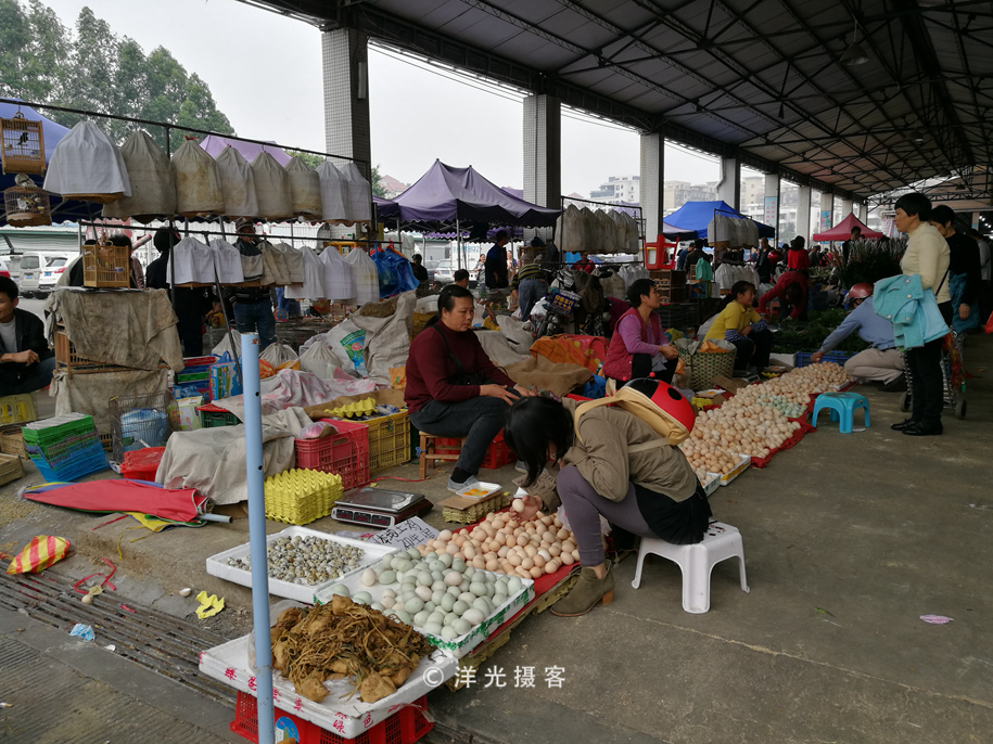 番禺各个镇大集时间表,广州去清远农村赶集