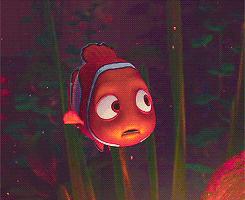 过年要回家鱼没人喂怎么办,过年了要外出家里的鱼怎么办