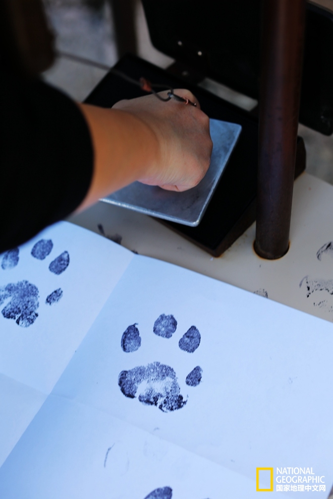 图森仙人掌,图森地理位置