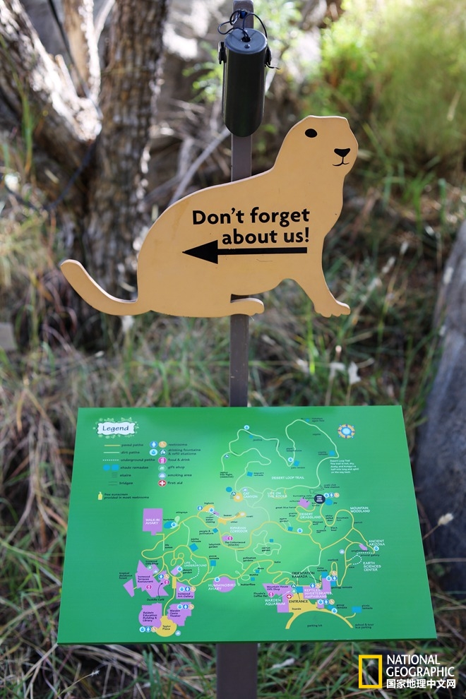 图森仙人掌,图森地理位置