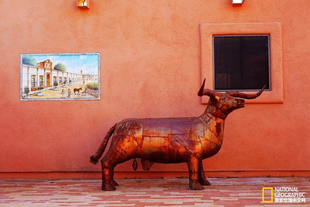 图森仙人掌,图森地理位置