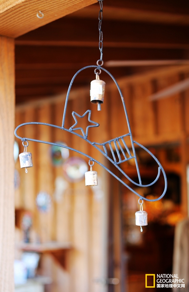 图森仙人掌,图森地理位置