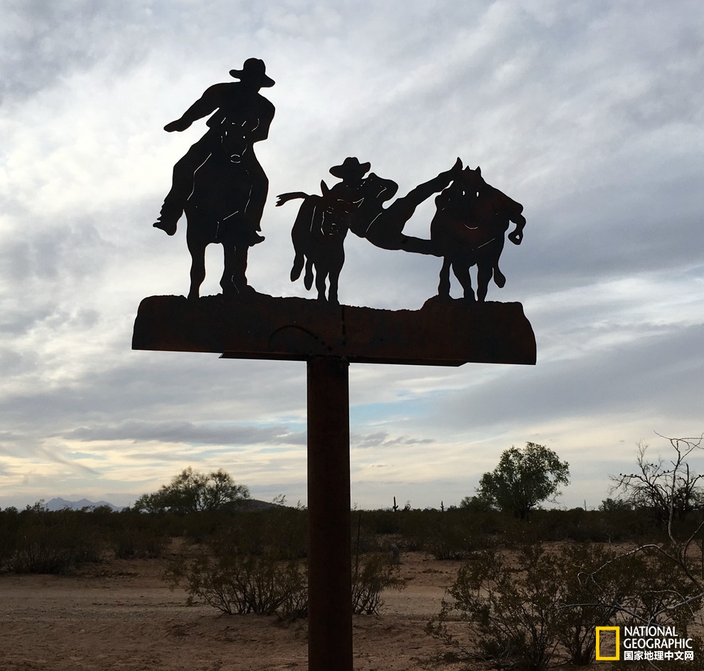 图森仙人掌,图森地理位置
