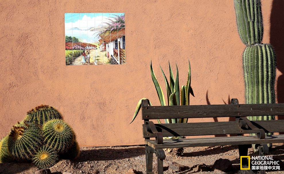 图森仙人掌,图森地理位置