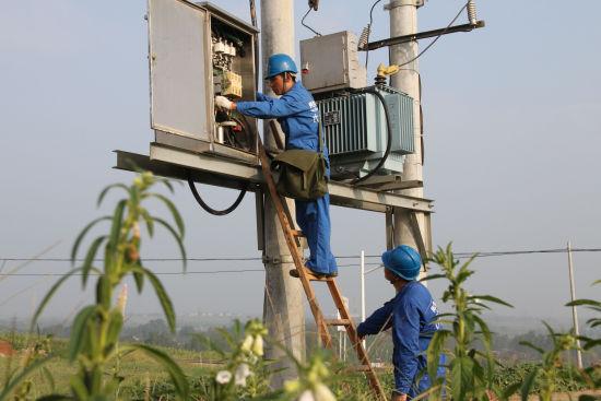 农村养殖用电多少钱一度,养殖1000头猪沼气发电用水多少