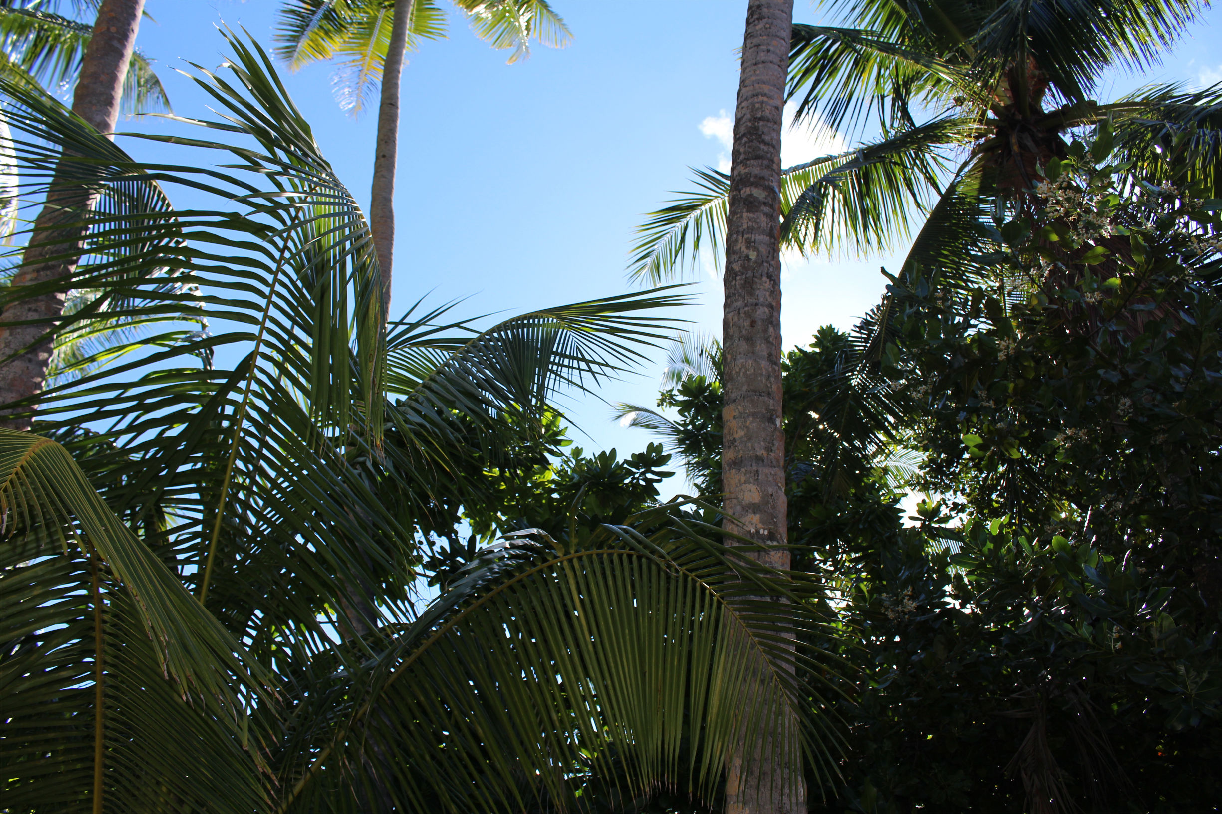 马尔代夫最美景色,最美马尔代夫风景