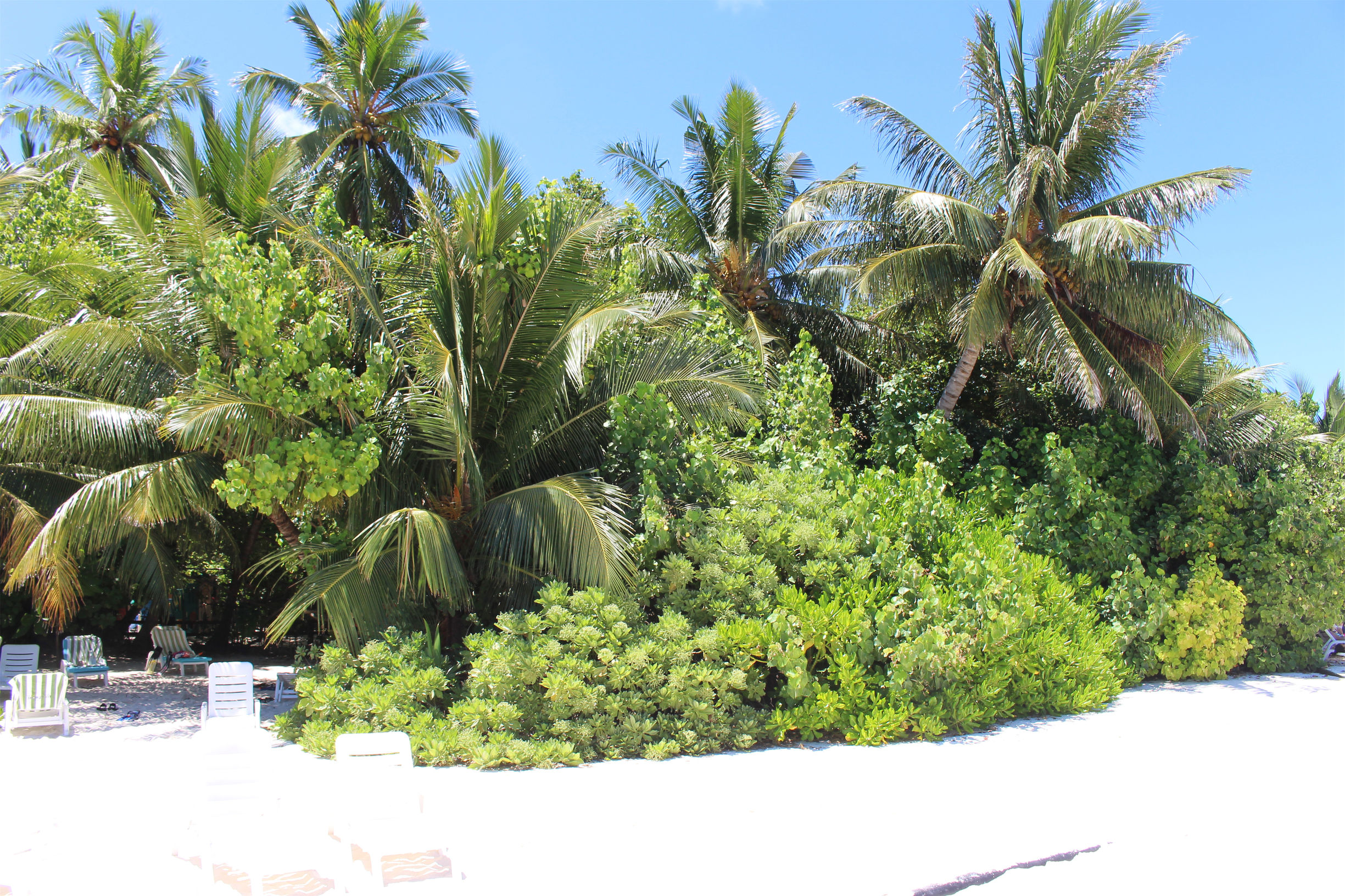 马尔代夫最美景色,最美马尔代夫风景