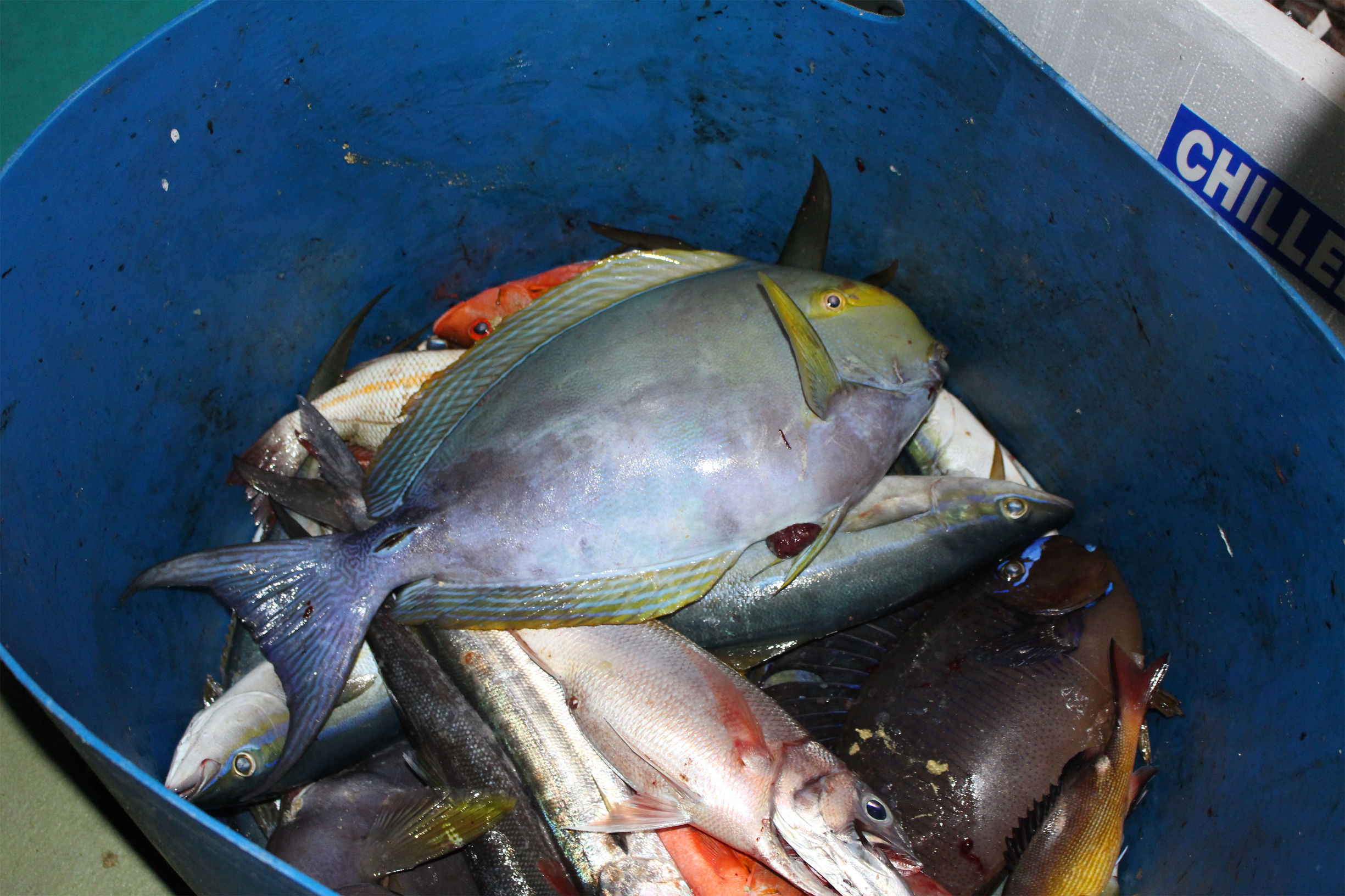 马尔代夫最美景色,最美马尔代夫风景