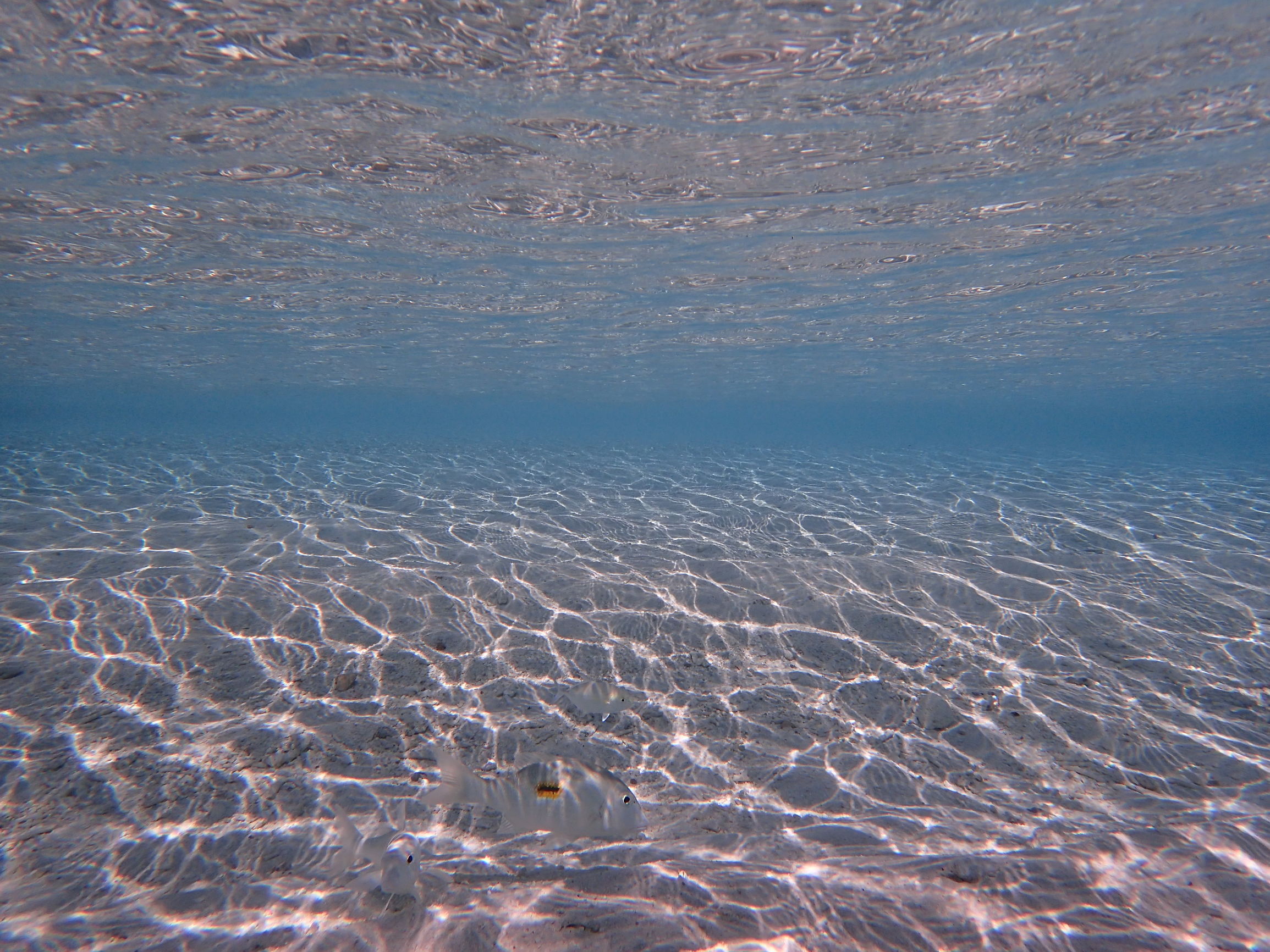 马尔代夫最美景色,最美马尔代夫风景