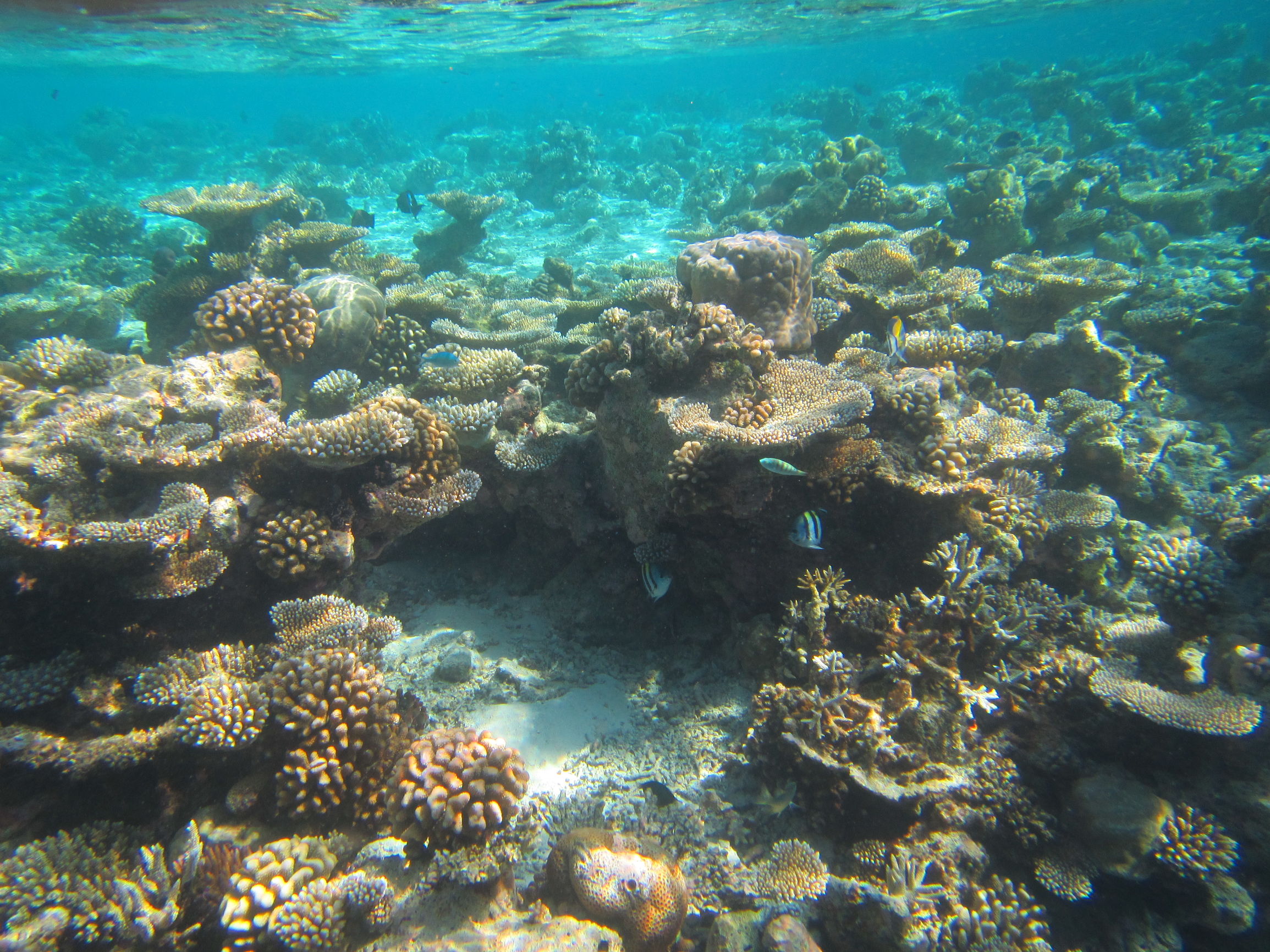 马尔代夫最美景色,最美马尔代夫风景