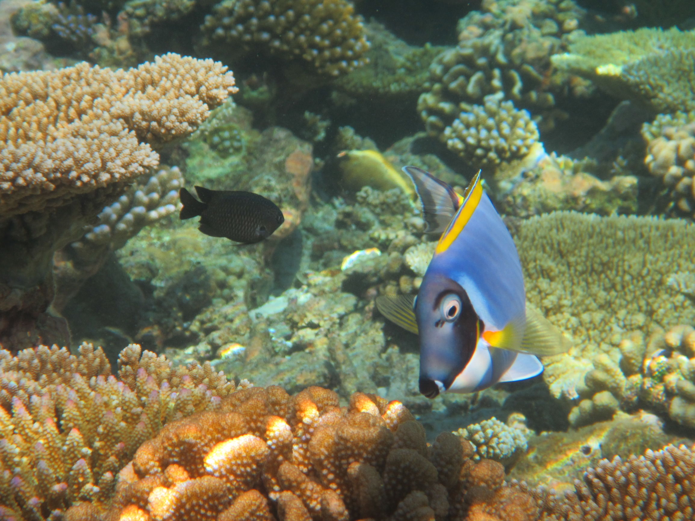 马尔代夫最美景色,最美马尔代夫风景