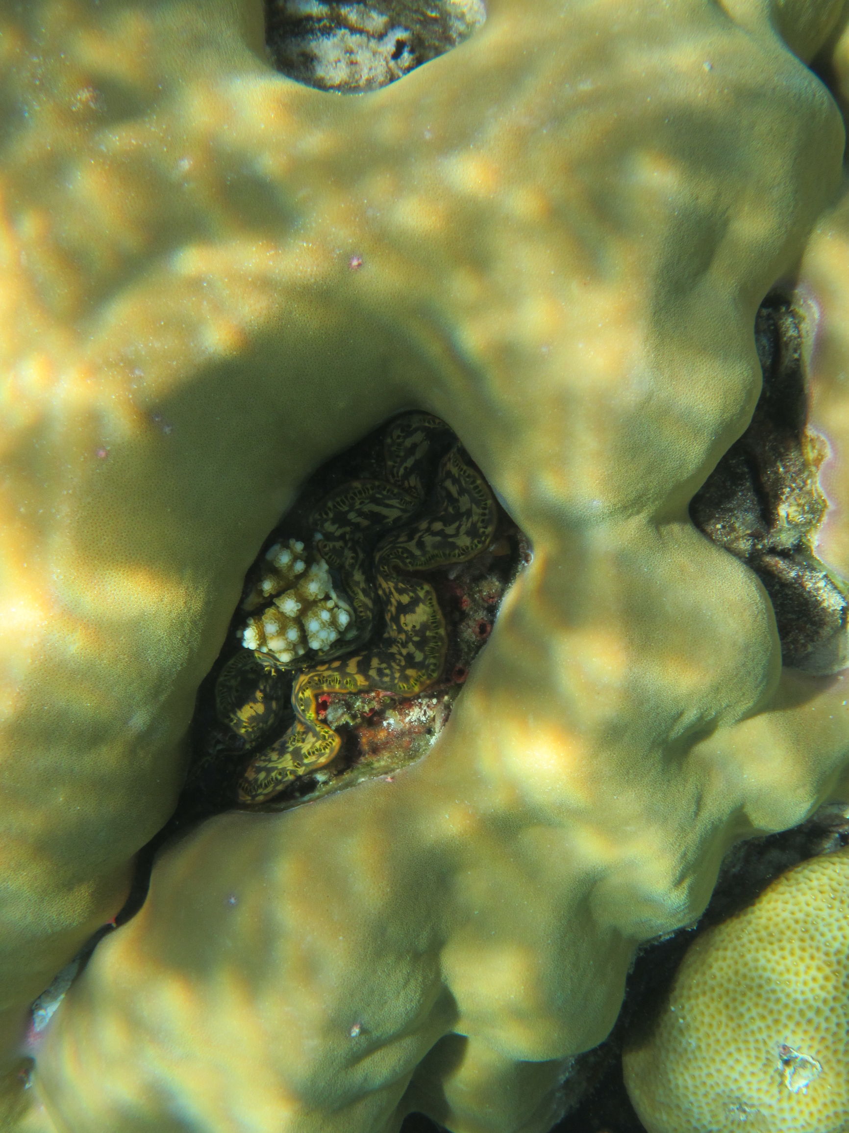 马尔代夫最美景色,最美马尔代夫风景