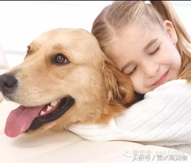 你知道养宠物狗需要些什么吗,你知道养狗狗好处有哪些吗