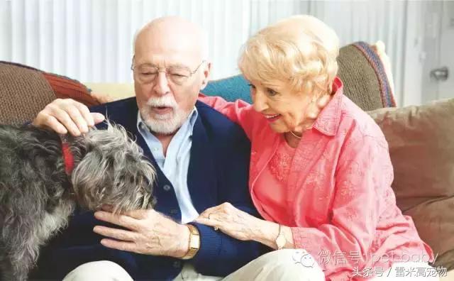 你知道养宠物狗需要些什么吗,你知道养狗狗好处有哪些吗