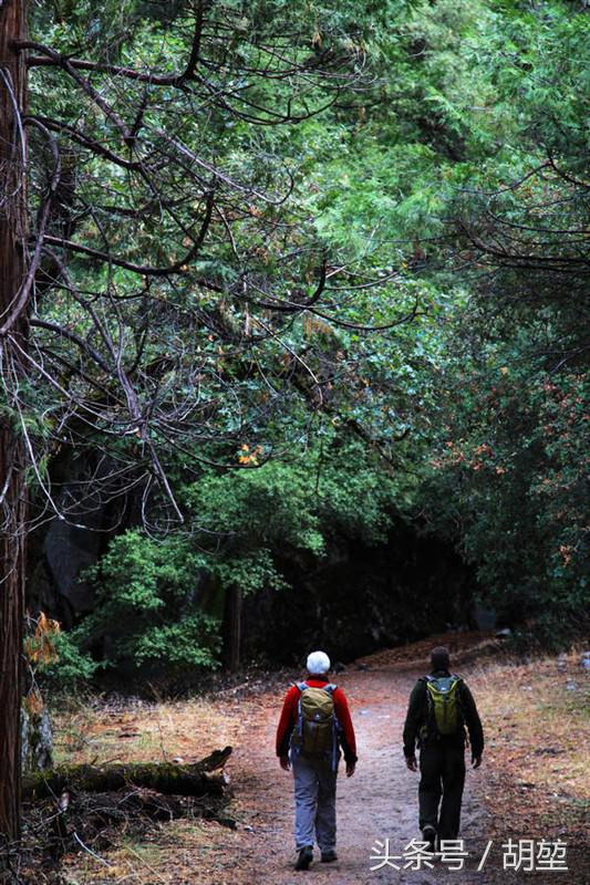 加利福尼亚美洲公园,加利福利亚国家公园