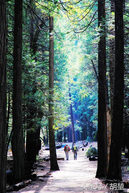 加利福尼亚美洲公园,加利福利亚国家公园