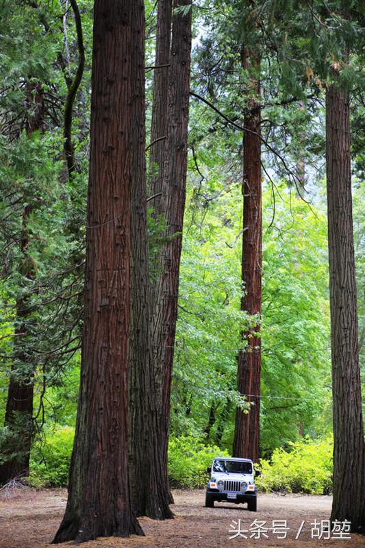 加利福尼亚美洲公园,加利福利亚国家公园