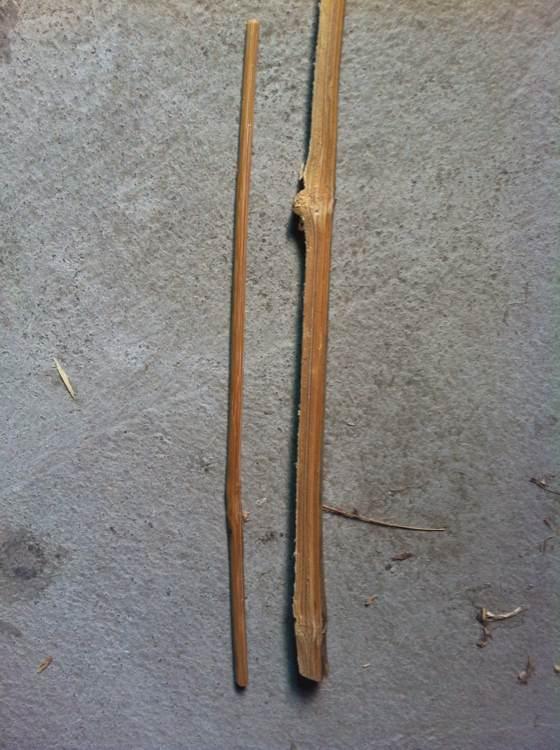 自己用竹子手工打造钓鱼竿，附上完整设计图和流程图