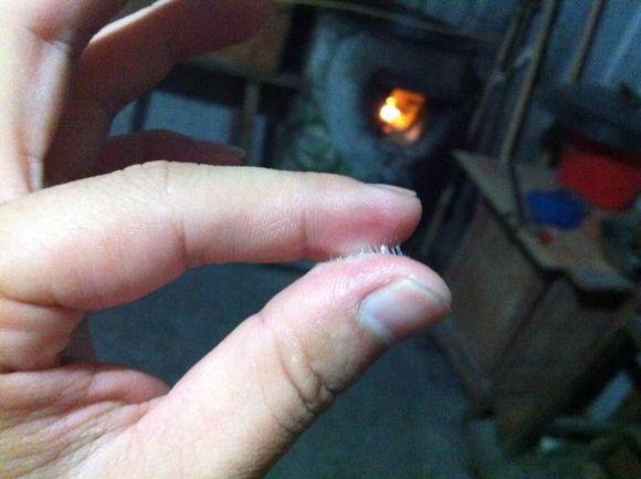 自己用竹子手工打造钓鱼竿，附上完整设计图和流程图