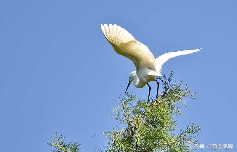 娲箹姘存氮鎵撴氮娲箹宀歌竟鍥剧墖,娲箹姘存氮鎵撴氮娲箹宀歌竟瑙嗛