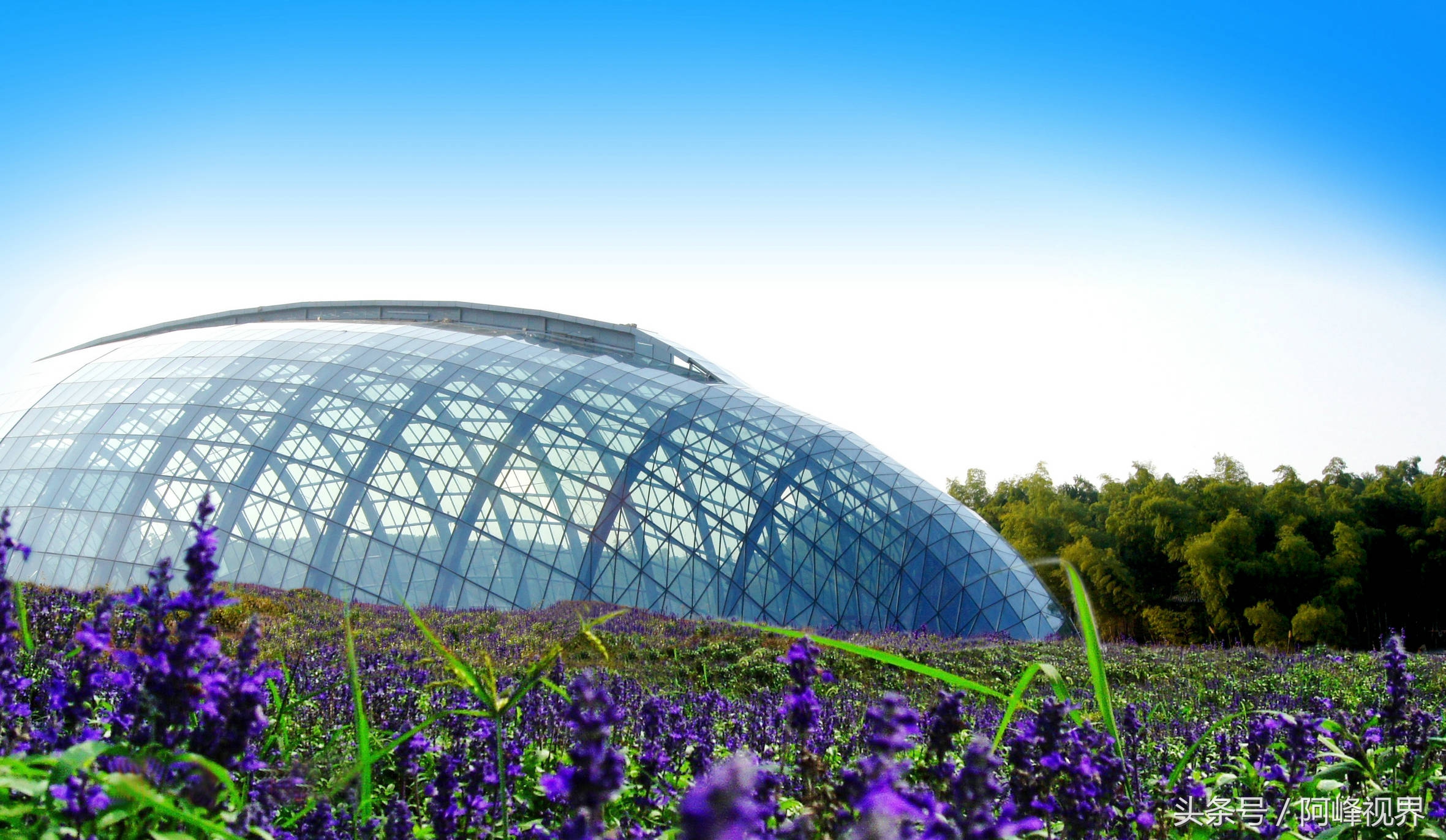 娲箹姘存氮鎵撴氮娲箹宀歌竟鍥剧墖,娲箹姘存氮鎵撴氮娲箹宀歌竟瑙嗛