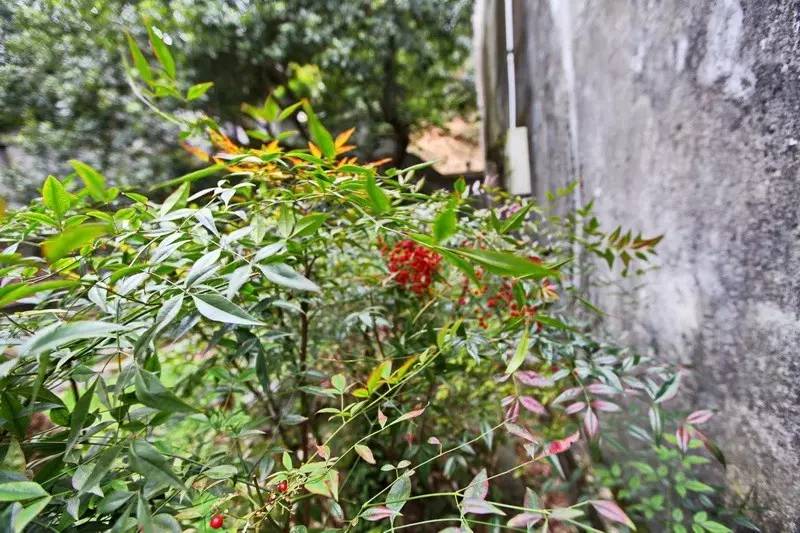 西涧草堂:书藏丙舍,移转多地(下)韦力撰