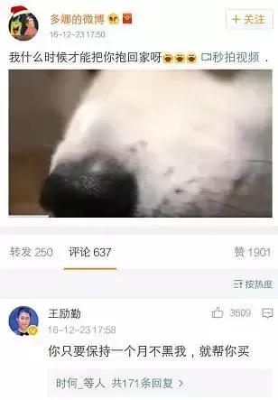 王励勤的妻子多娜的照片,多娜和王励勤结婚了吗