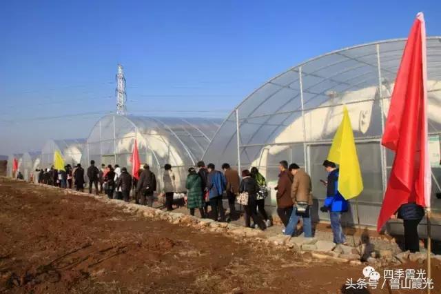 魅力龙泉,龙泉镇富硒采摘园