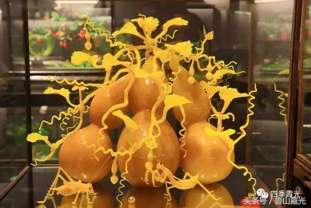 魅力龙泉,龙泉镇富硒采摘园