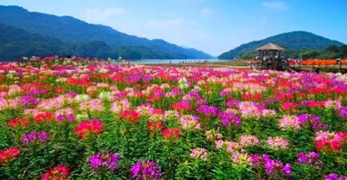 广东也能看到“九寨沟”这样的美景，还不止一个呢！