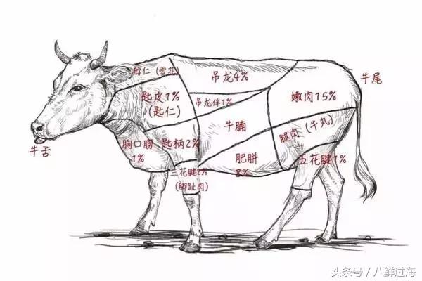 潮牛潮汕特色牛肉火锅怎么样,潮牛匠潮汕牛肉火锅里面有粉吗