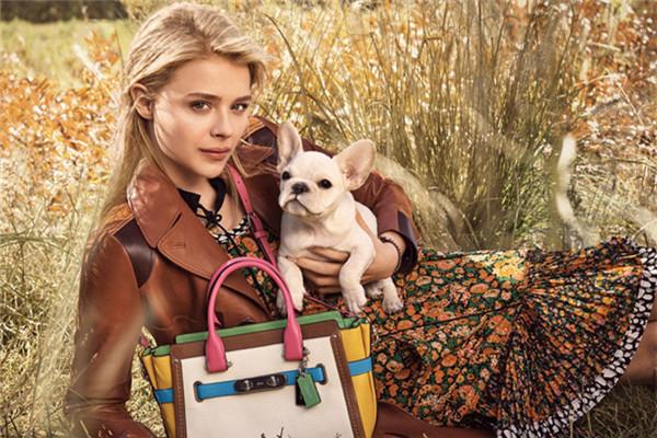 男士衣服品牌轻奢排行榜 (轻奢品牌包包排行榜前十名有哪些)