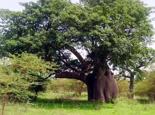 长期驻外该干嘛,驻外每周回家一次的工作值得做吗