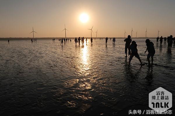 夕阳下的湿地美景,冬日下的湿地公园美如画