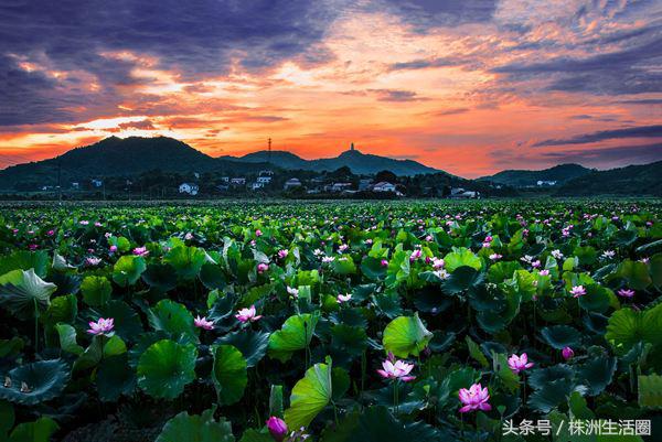株洲市总体规划,株洲2019年规划