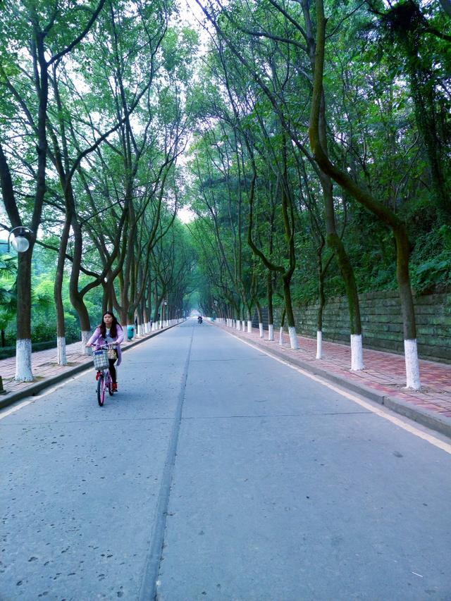 小米5拍照对比,小米5拍人像